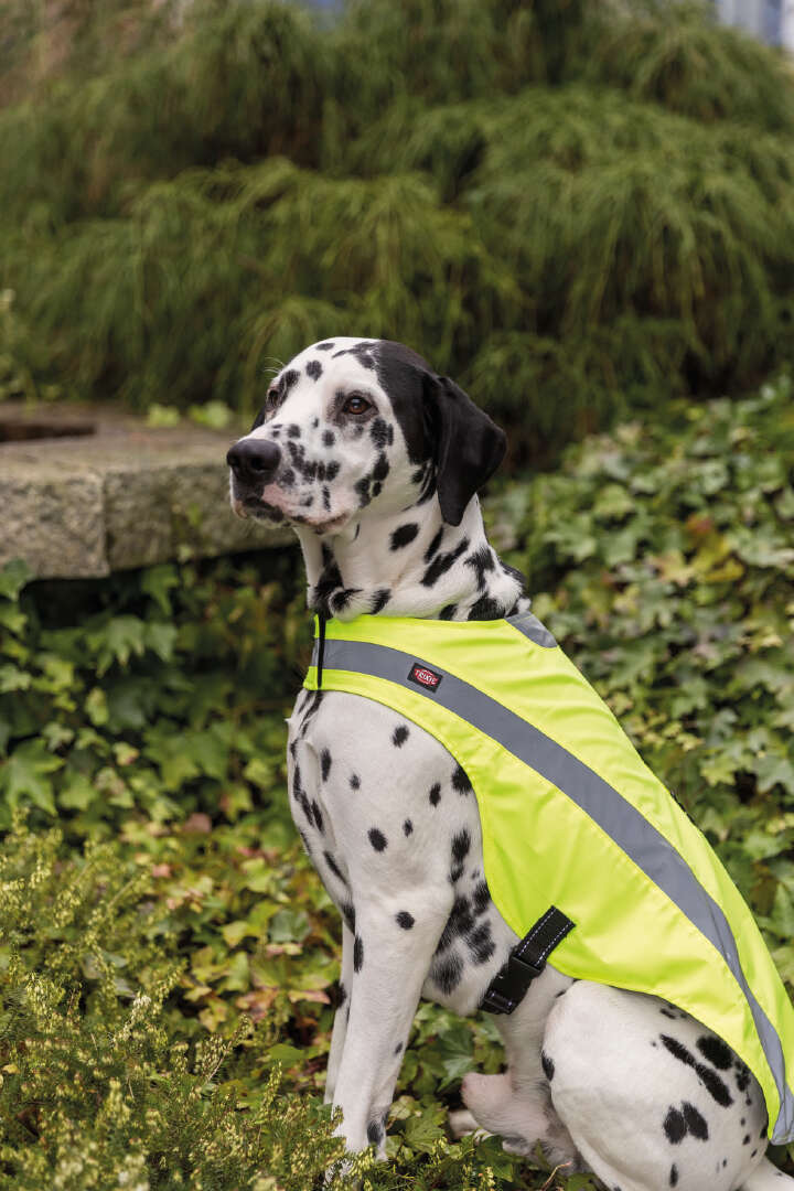 TRIXIE Sicherheitsweste für Hunde